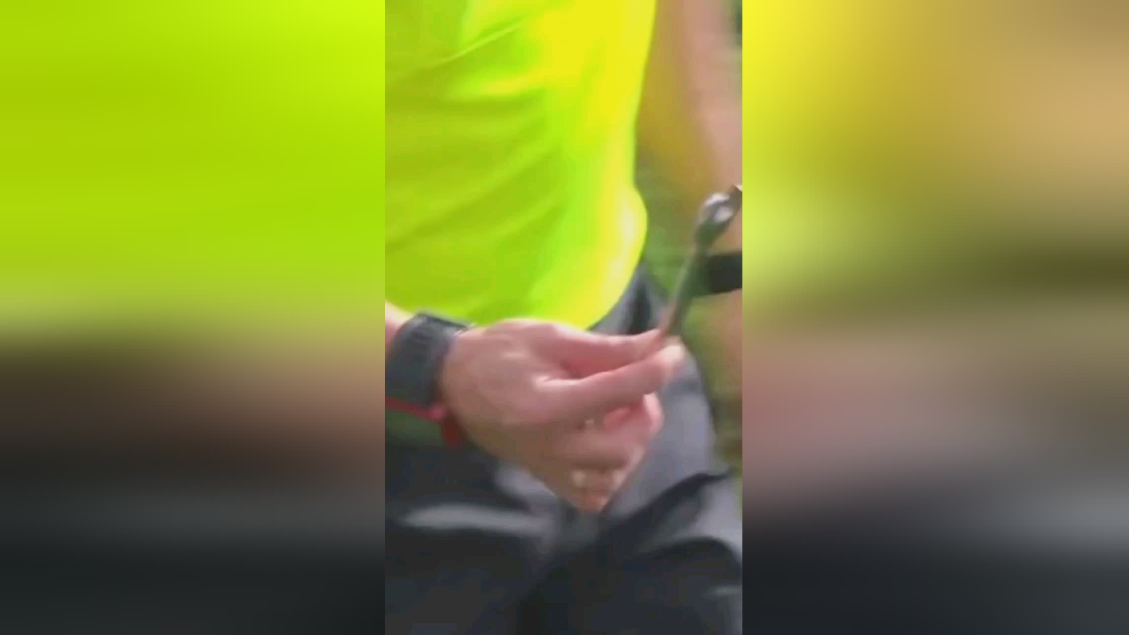 在有任何